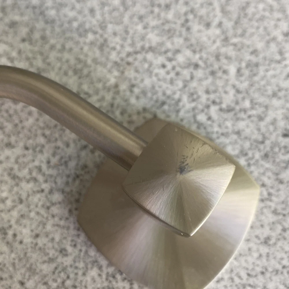 Brushed chrome, toilet paper holder, and double hook